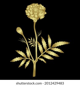 Single branch of marigold flower. (Tagétes). Floral design. Golden glossy silhouette on black background.