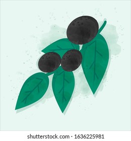single branch with olives beautiful vector isolated image
