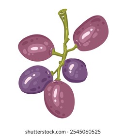 Una sola rama de uvas maduras. Un Pequeño manojo de bayas moradas. Ilustración vectorial de zumo de frutas vitamínicas orgánicas. Concepto de etiqueta ecológica para el sabor natural de la uva. Diseño de vino, zumo, batido.