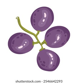 Una sola rama de uvas maduras. Un Pequeño manojo de bayas moradas. Ilustración vectorial de zumo de frutas vitamínicas orgánicas. Concepto de etiqueta ecológica para el sabor natural de la uva. Diseño de vino, zumo, batido.