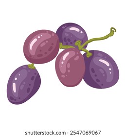 Una sola rama de uvas maduras. Un Pequeño manojo de bayas moradas. Ilustración vectorial de zumo de frutas vitamínicas orgánicas. Concepto de etiqueta ecológica para el sabor natural de la uva. Diseño de vino, zumo, batido.