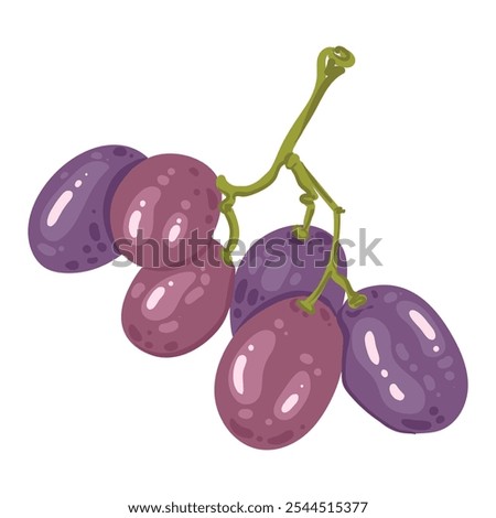 A single branch of ripe grapes. A small bunch of purple berries. Vector illustration of organic vitamin fruit juice. Eco label concept for natural grape flavor. Design of wine, juice, smoothie.