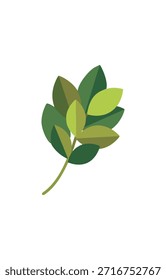 Ramificação Única com Folhas Verdes Suaves
