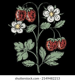 Single branch of strawberry plant with flowers and berries. Hand drawn colorful rough sketch. On black background.