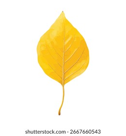 Ein einziges hellgelbes Herbstblatt mit sichtbaren Adern einzeln auf weißem Hintergrund