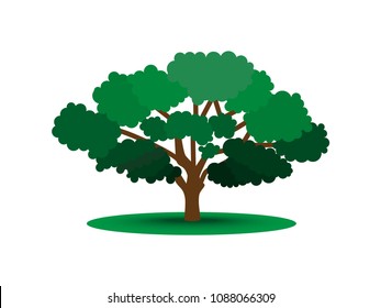 Single brightly green tree isolated on white background. Stylized lone tree with green leaves and long branches. Image is a vector illustration.