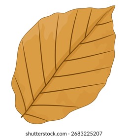 Uma única ilustração de folha de outono marrom