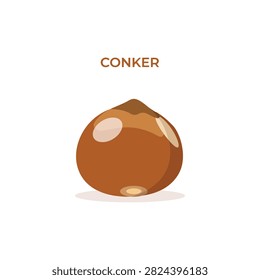 A single brown conker chestnut with a smooth shell, isolated on a white background, flat for autumn seasonal