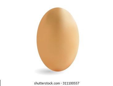 single brown egg isolated vector illustration