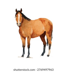 A single brown horse standing outside