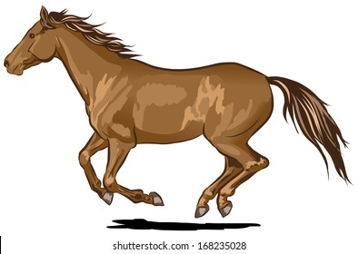 Single brown vector horse galloping at full speed