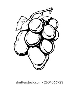 A Single Bunch Of Grapes Black And White Illustration