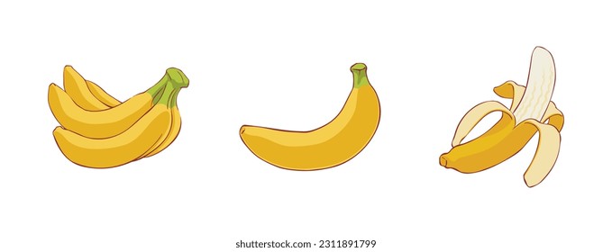 single and bunch, peeled banana fruit