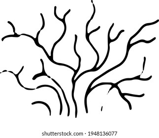 single bush without leaves, black outline