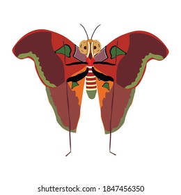 Una sola mariposa con grandes alas sobre un fondo blanco aislado.