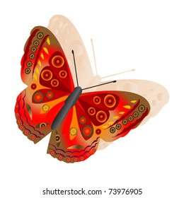 single butterfly on white background