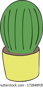 Single cactus on a white background. For card, design, poster, cover, web. Hand drawing. Vector.