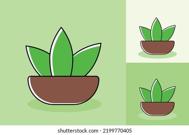 Planta de cactus única con diferente color de fondo