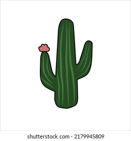 Single Cactus Plant with Pink Flowers