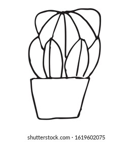 Single cactus in a pot. Astrophytum. Black pen drawing. Hand drawing on white background.Houseplant. Line drawing, home decor. Doodle style. 