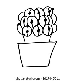 Single cactus in a pot.  Drawing with a black pen. Hand drawing on a white background.Houseplant. Linear drawing, home decor. Doodle style.