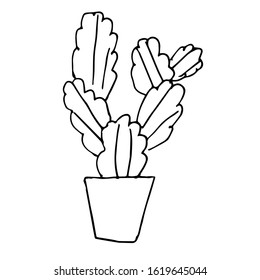 Single cactus in a pot.  Drawing with a black pen. Hand drawing on a white background.Houseplant. Linear drawing, home decor. Doodle style.