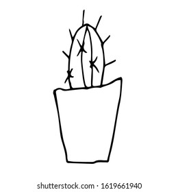 Single cactus in a pot.  Drawing with a black pen. Hand drawing on a white background.Houseplant. Linear drawing, home decor. Doodle style.