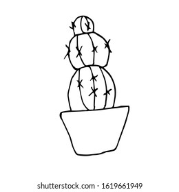 Single cactus in a pot.  Drawing with a black pen. Hand drawing on a white background.Houseplant. Linear drawing, home decor. Doodle style.