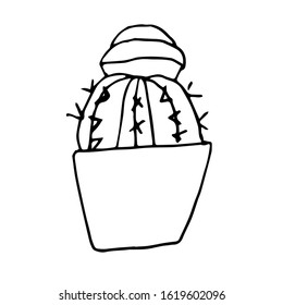  Single cactus in a pot. Melocactus (melon cactus). Black pen drawing. Hand drawing on white background.Houseplant. Line drawing, home decor. Doodle style. 