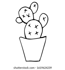 Single cactus in a pot. Opuntia.  Black pen drawing. Hand drawing on white background.Houseplant. Line drawing, home decor. Doodle style.