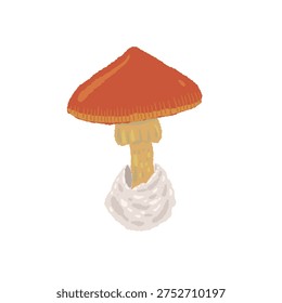 Single Caesar's Mushroom Bell Shape Cap Hand Drawn Illustration