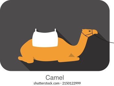 Single Camel kneeling on the ground, A chair on the camel's back, modern design.