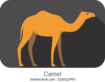 Single Camel walking on the ground, A chair on the camel's back, modern design.