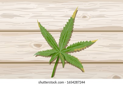 Single cannabis leaf on wood background. Hemp leaves on wooden tables. Marijuana vector illustration.