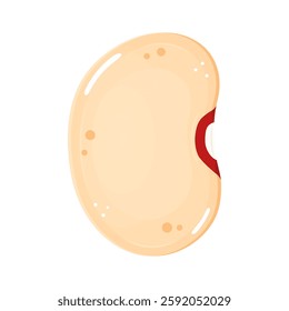 Single cannellini bean illustration, showing a white kidney bean with a red hilum.