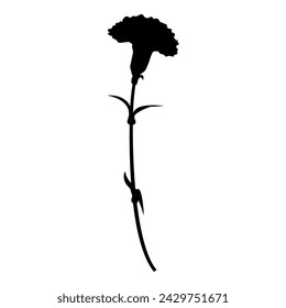 Single carnation silhouette, icon, vector