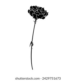 Single carnation silhouette, icon, vector