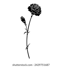 Single carnation silhouette, icon, vector