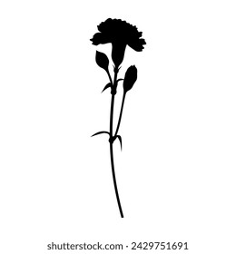 Single carnation silhouette, icon, vector