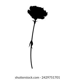 Single carnation silhouette, icon, vector