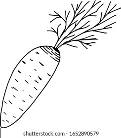 A single carrot. The figure is hand-painted. For the design of an Easter card, poster, or clothing.