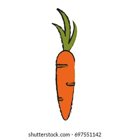single carrot icon image