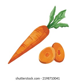 Single carrot with two carrot slices set collection vegetable vitamin a healthy food vector illustration art work