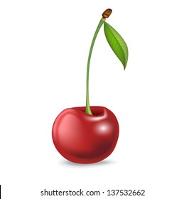 Single Cherry Isolated On White Background