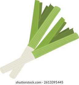 Single Chive Spring Onion Illustration