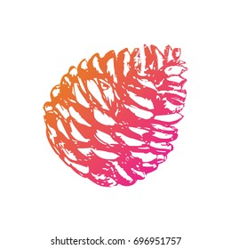 Single Christmas hand drawn pine cone. Modern gradient. Cedar cone. Sketchy style. Unusual. For your project.