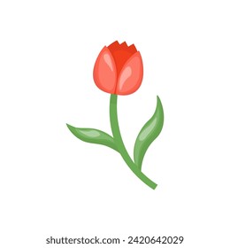 Single clipart red  tulip in hand drawn style. Botanical clipart. Perfect for cards, logo, decorations, spring and summer designs. Stock isolated image on a white background.