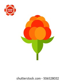 Single Cloudberry with Leaves Icon