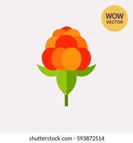 Single Cloudberry with Leaves Icon