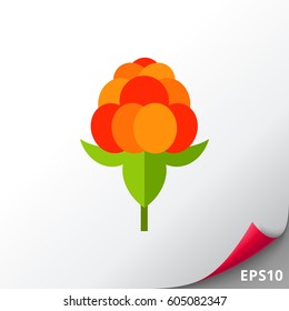 Single Cloudberry with Leaves Icon